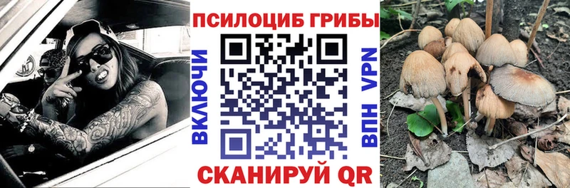 ОМГ ОМГ ССЫЛКА что такое наркотик Вельск Псилоцибиновые грибы Psilocybe